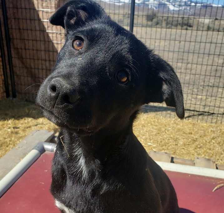 Photo of Lola