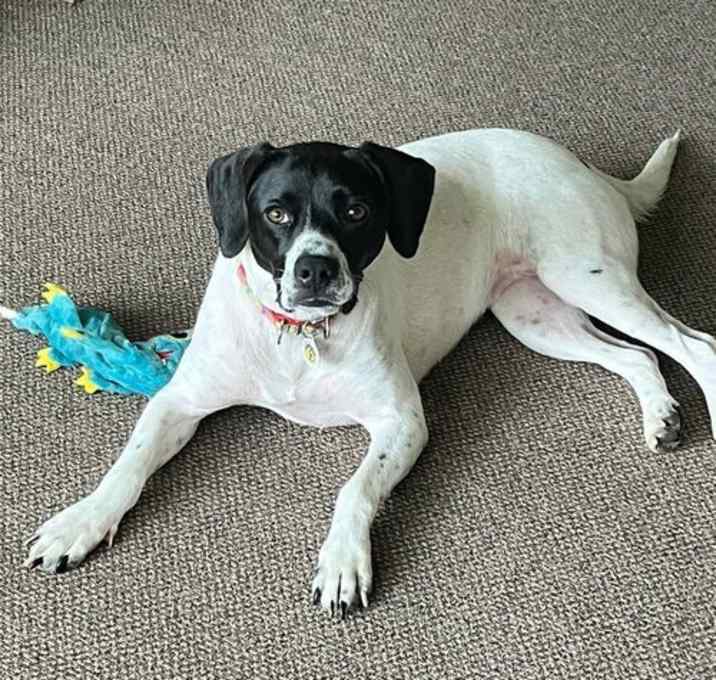 Photo of Addie
