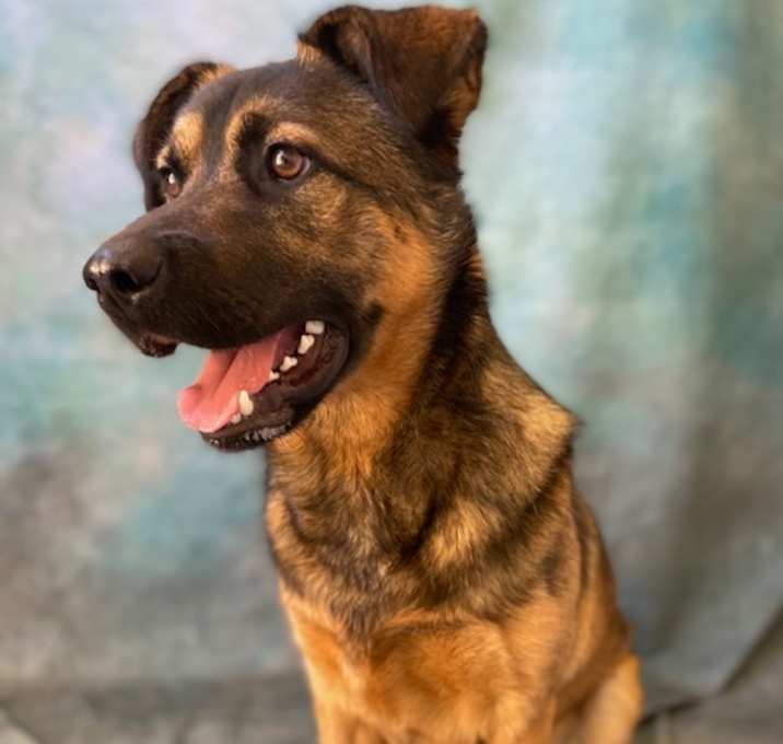 Photo of OLIVER