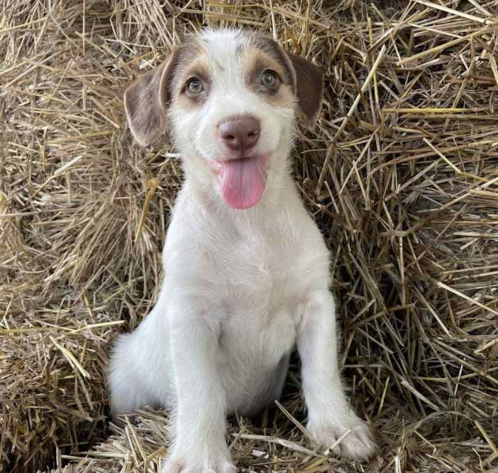 Photo of Storm