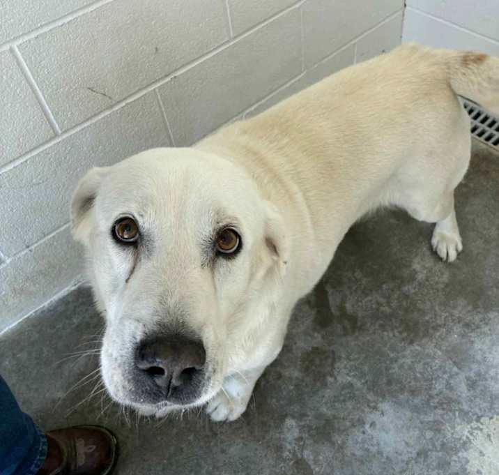 Photo of buddy
