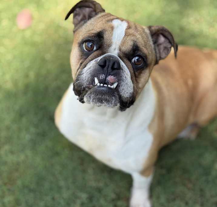 Photo of Maggie