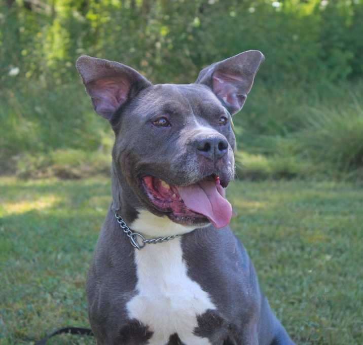 Photo of Denim 110