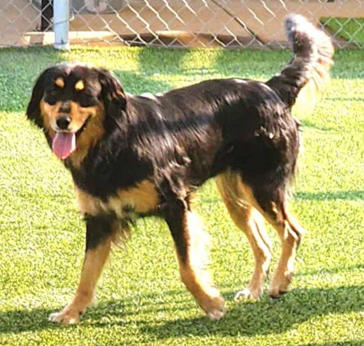 Photo of Lucy
