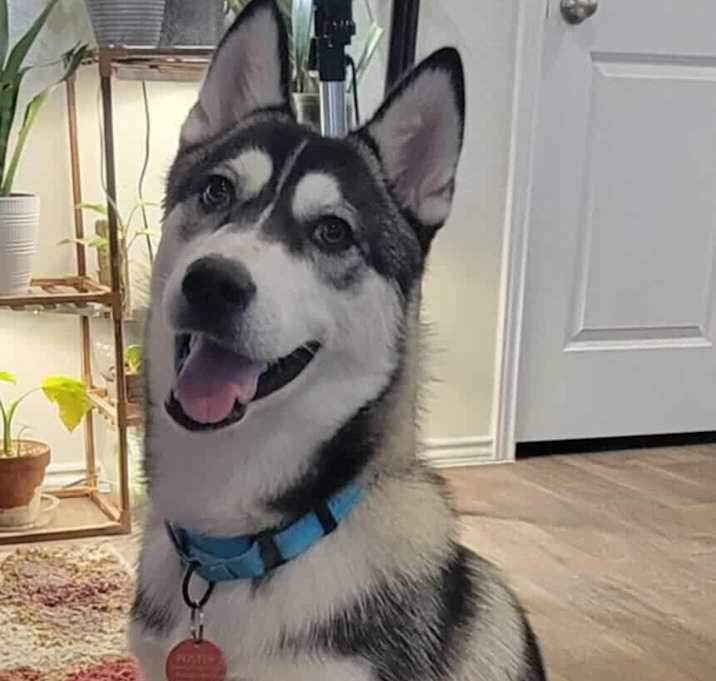 Photo of Phoebe