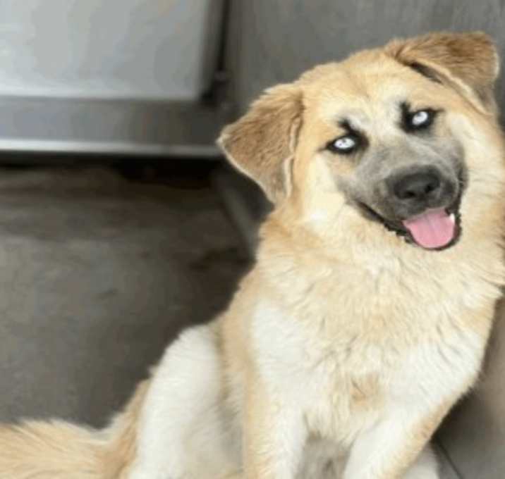Photo of Athena
