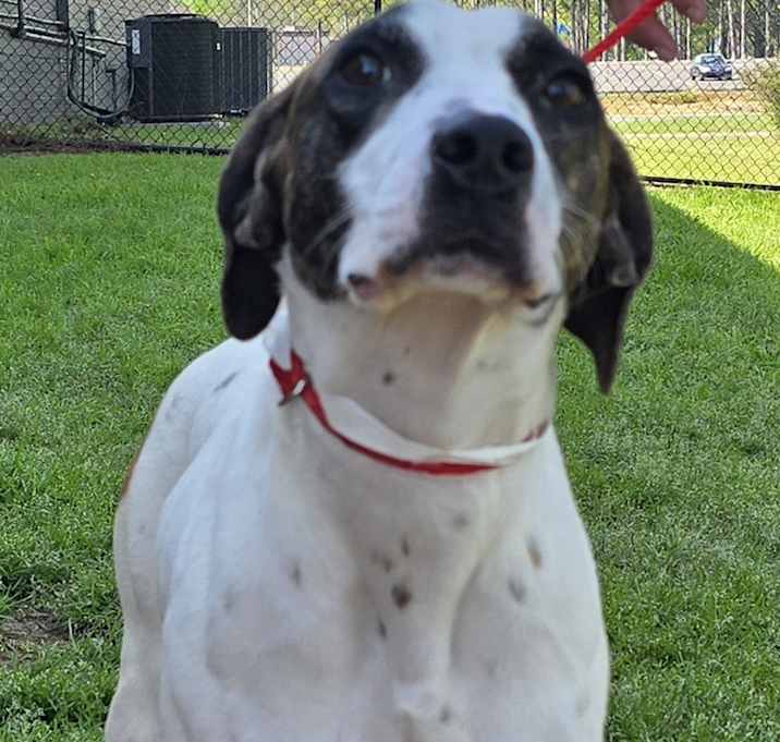 Photo of Zadie