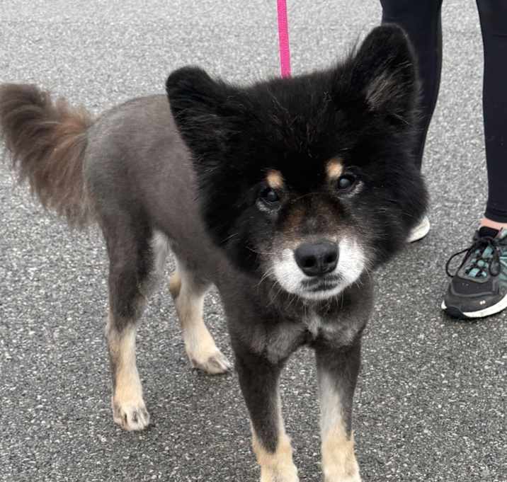 Photo of Nyx