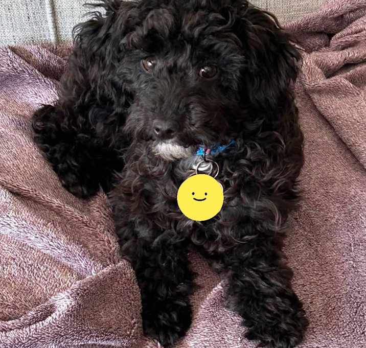 Photo of Tracker