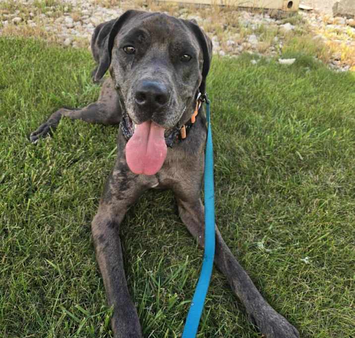 Photo of Zeus