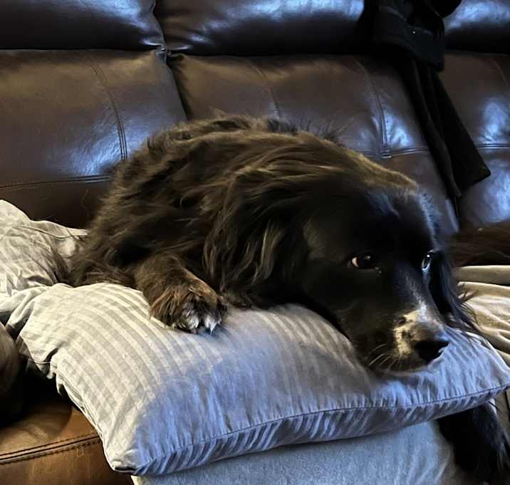 Photo of Holly