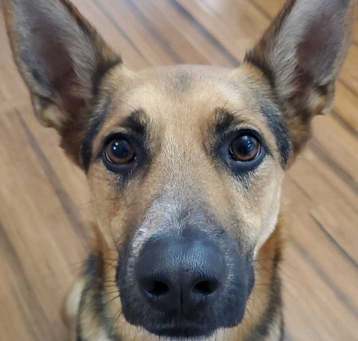 Photo of Mila