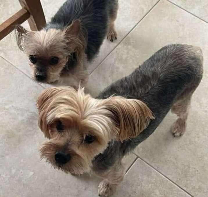 Photo of Gianni and Teddy