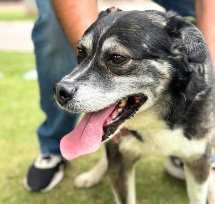 Photo of John Stamos*