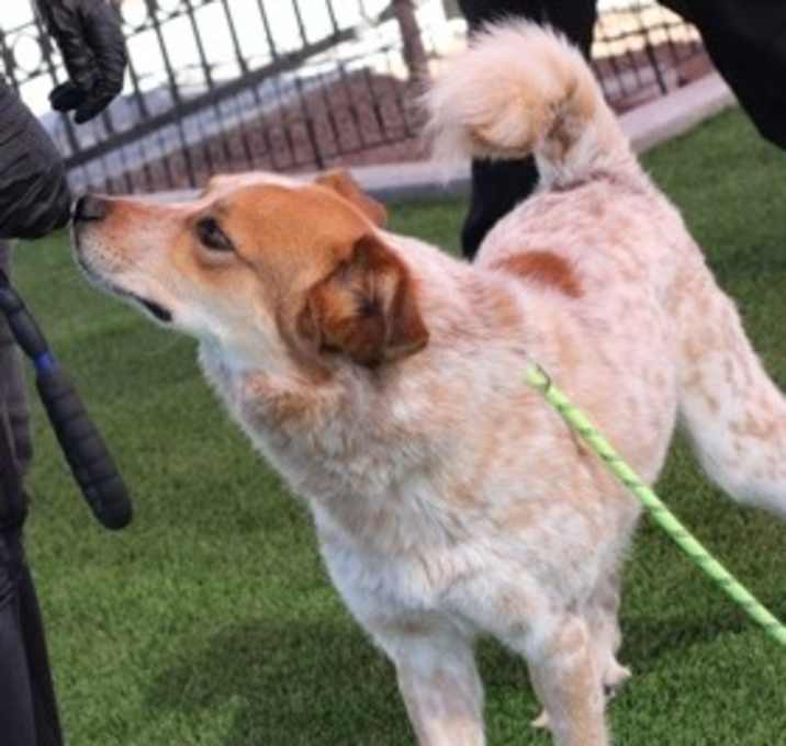 Photo of Peter Parker*