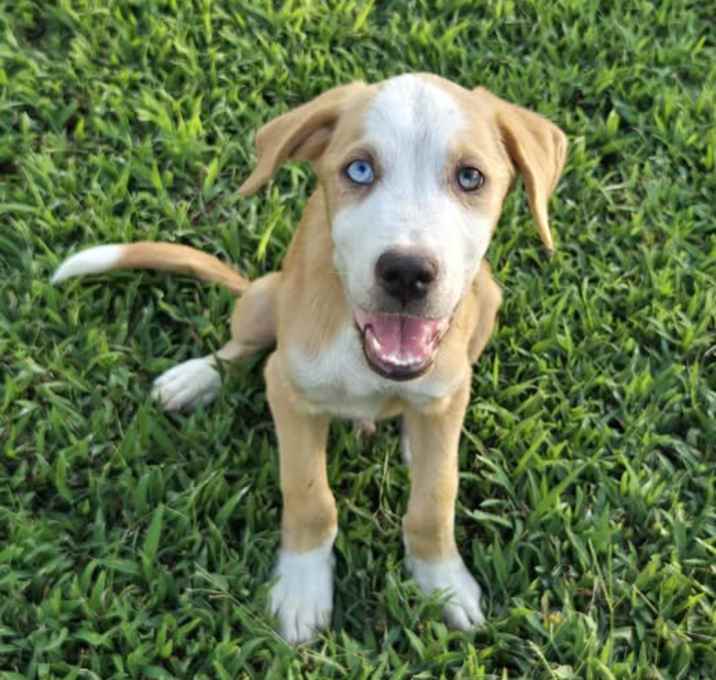 Photo of Bentley