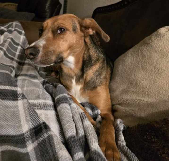 Photo of KONA
