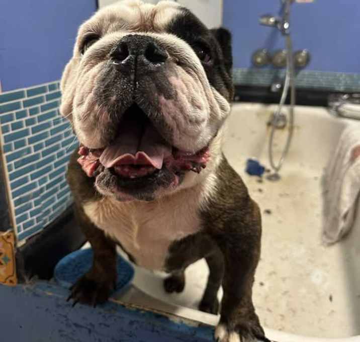 Photo of Edna
