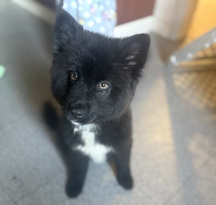 Photo of Leo