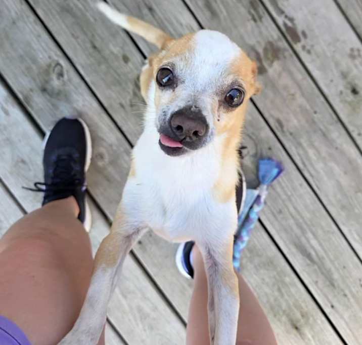 Photo of Bert