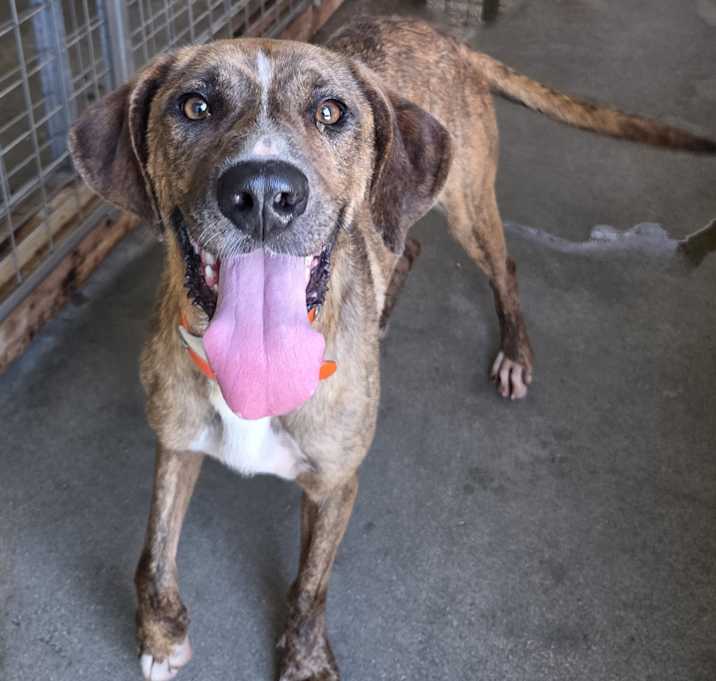 Photo of Tucker