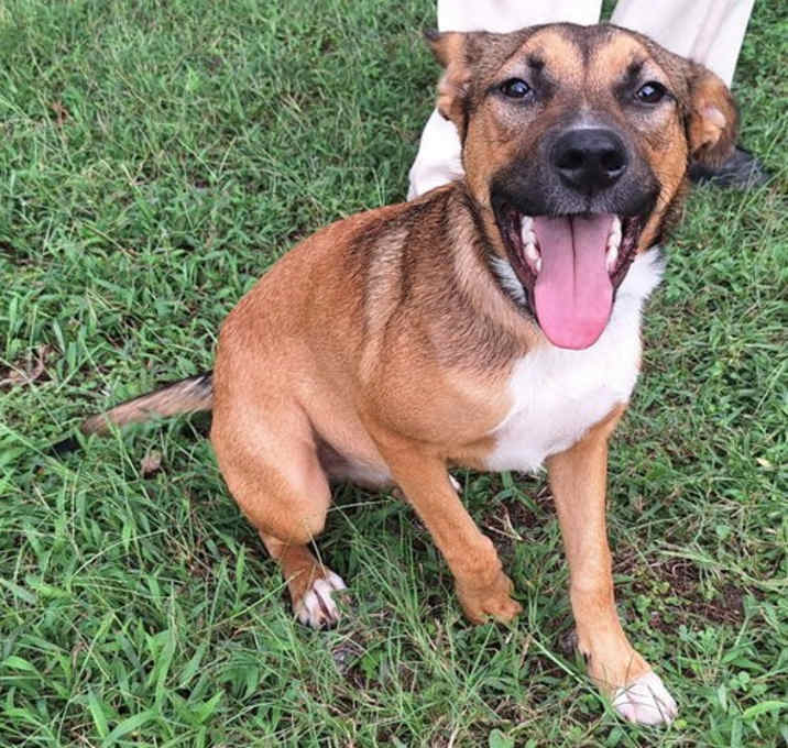 Photo of 251205  Chain