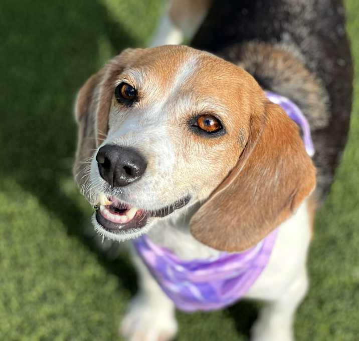 Photo of Macy