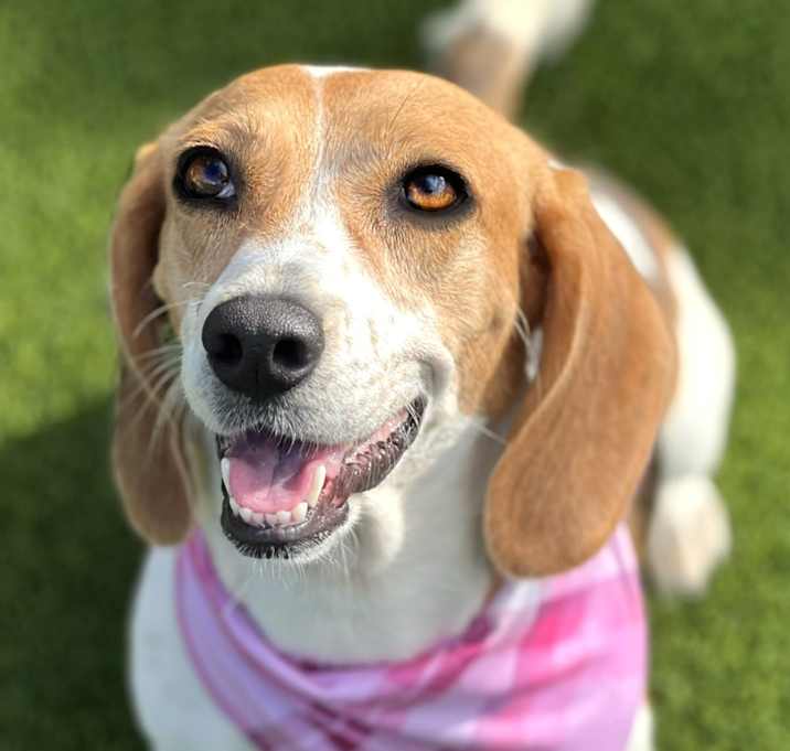 Photo of Marcy