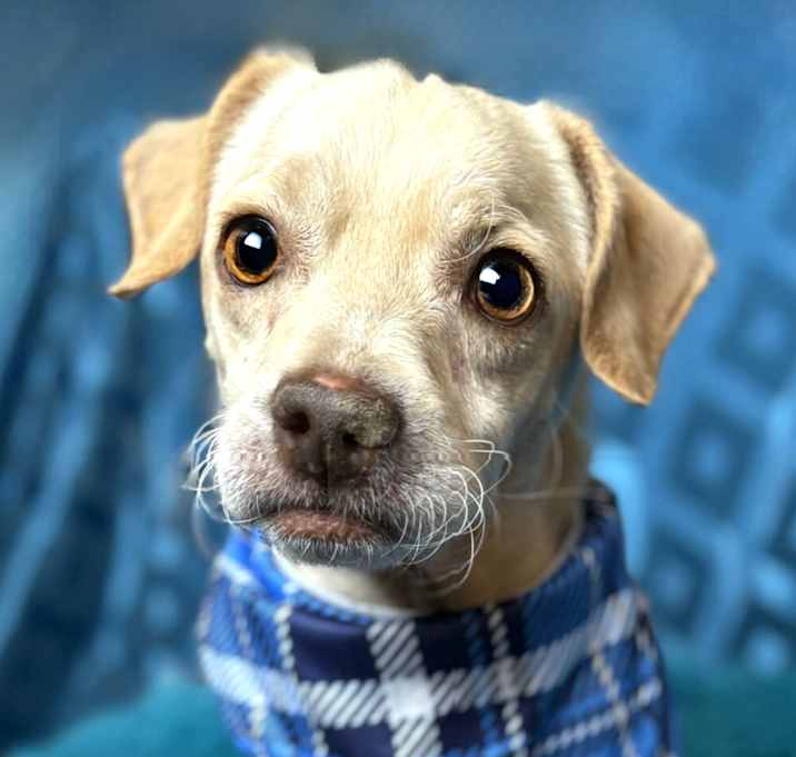 Photo of Tucker