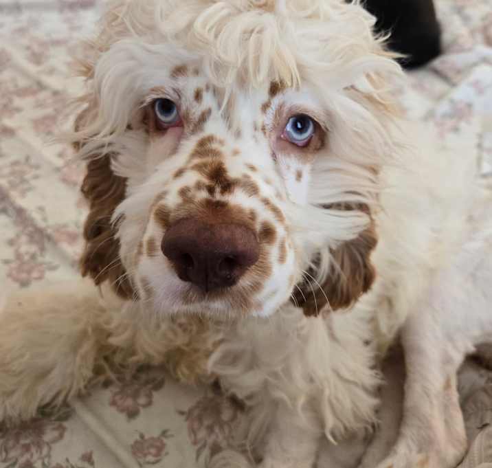 Photo of Eli