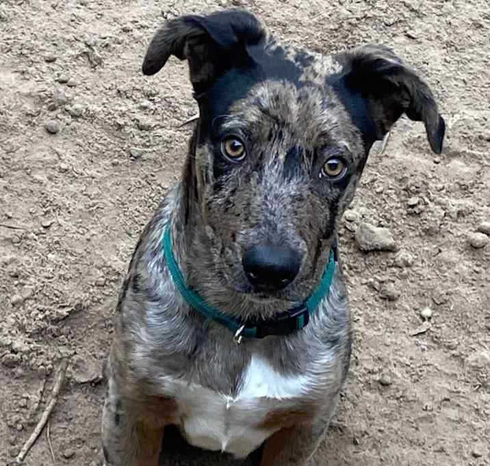 Photo of Duke