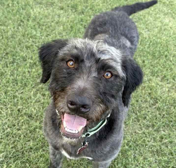 Photo of Jeffrey