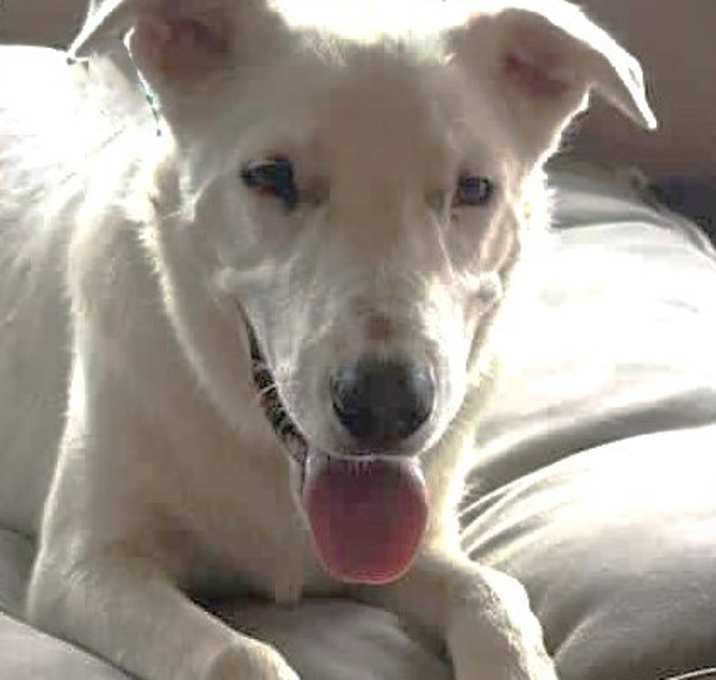 Photo of Benny