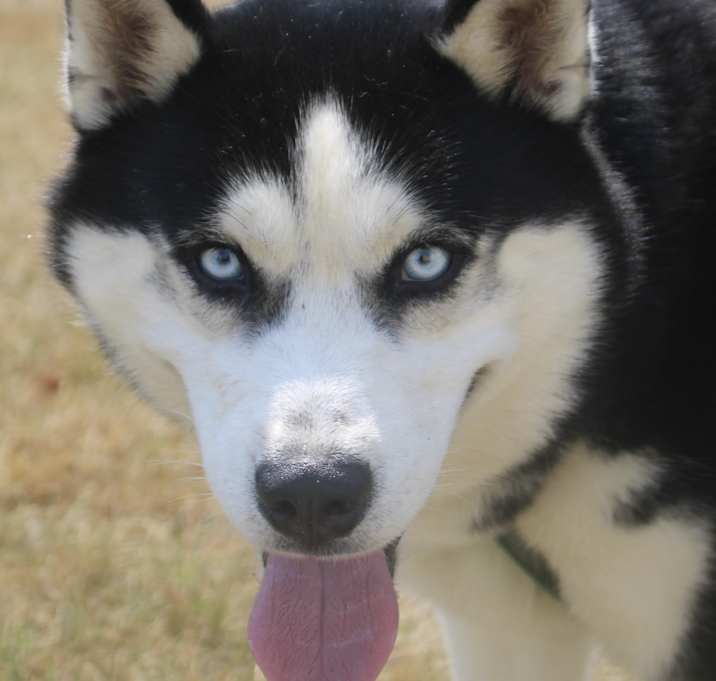 Photo of Luca