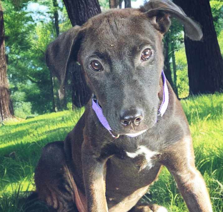 Photo of Hera