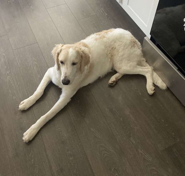 Photo of Spencer