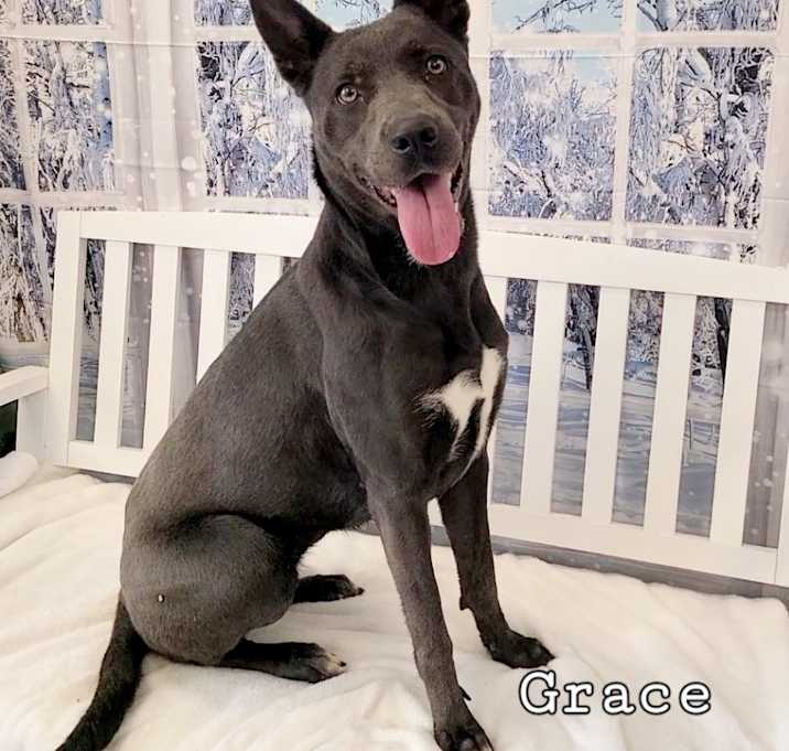 Photo of Grace Yrly 330