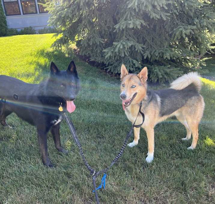 Photo of Christian & Sahbek