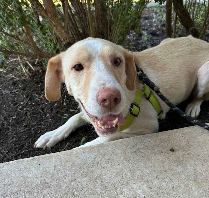 Photo of Bagel 25-05-192