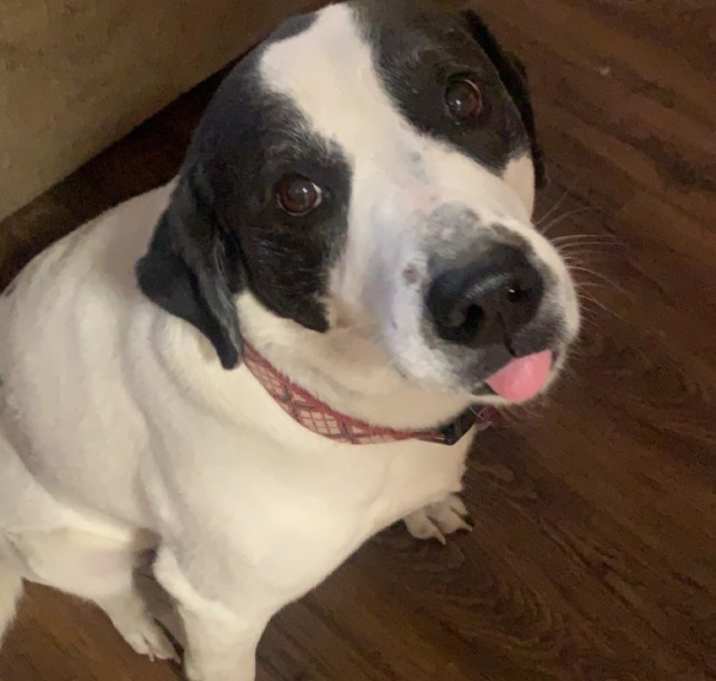Photo of Maggie