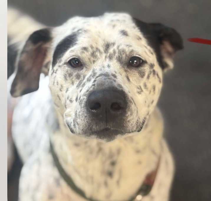 Photo of Edna 
