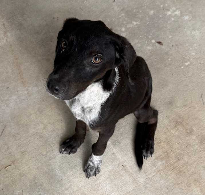 Photo of Scooter