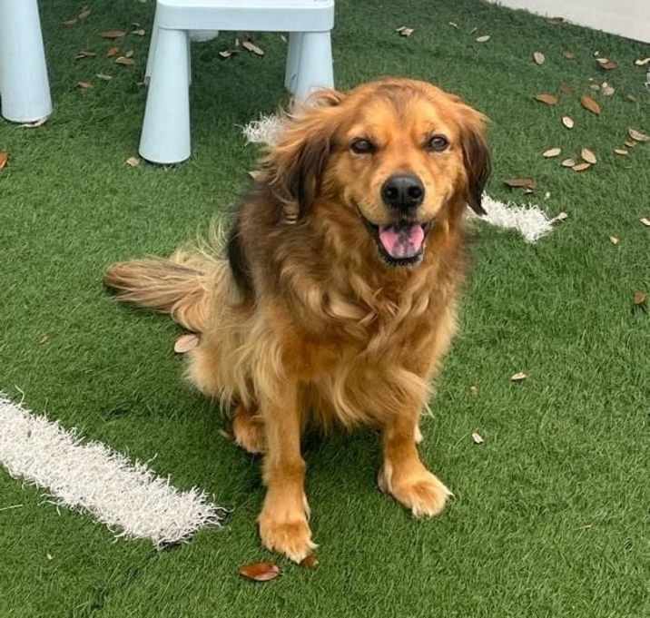Photo of Penny