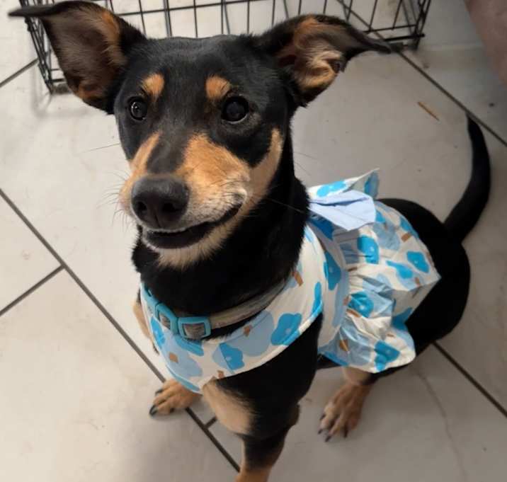 Photo of Cleo <3 Sweet Girl <3