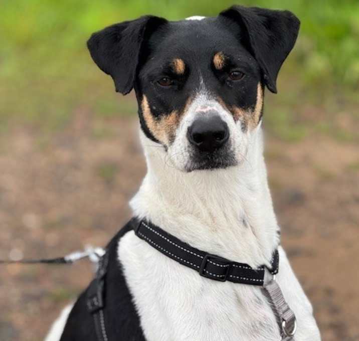 Photo of Bubba