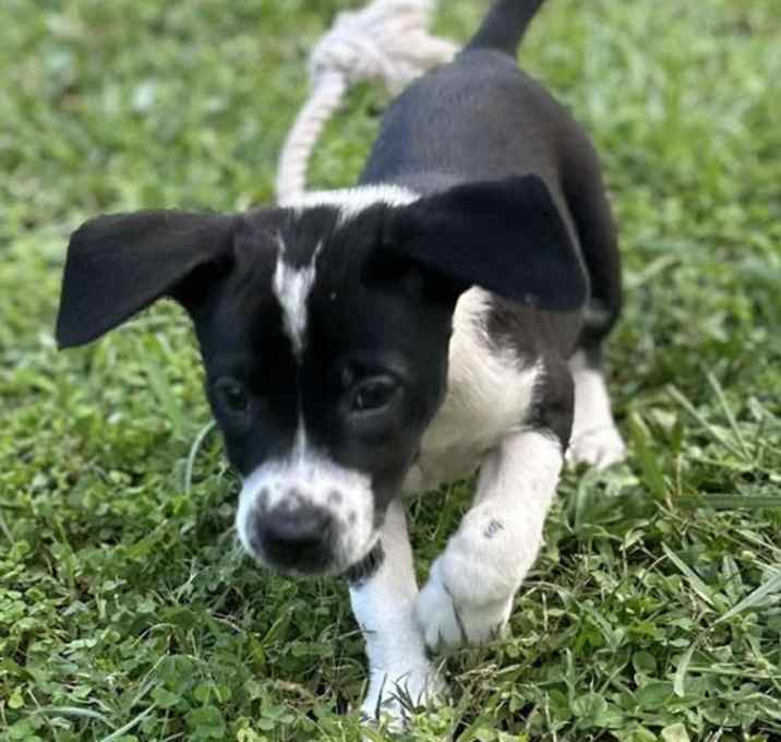 Photo of Zoe