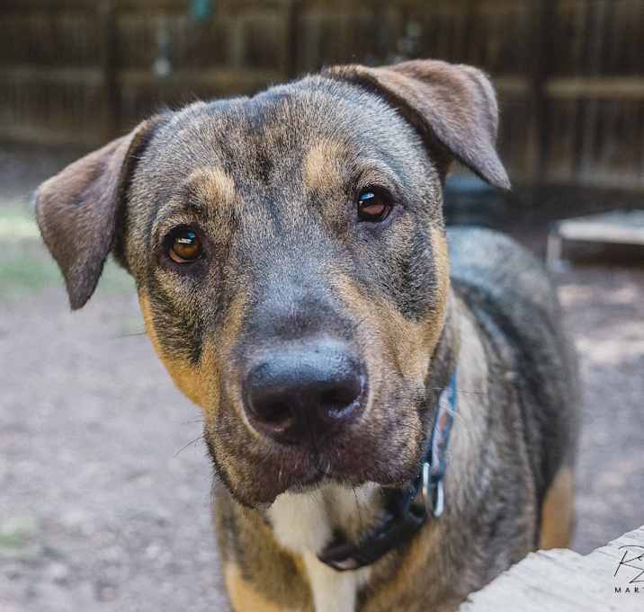 Photo of Sadie