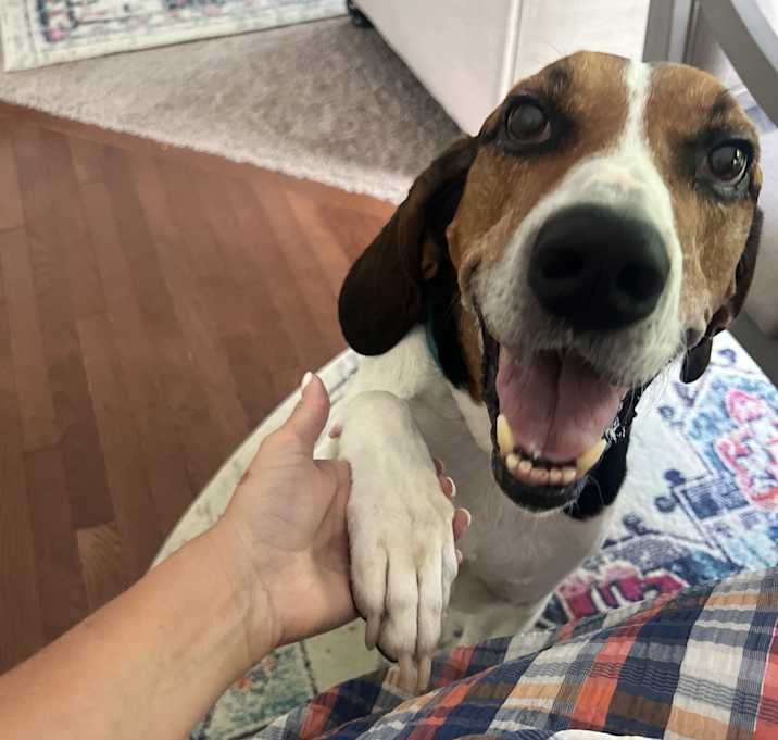 Photo of Buddy