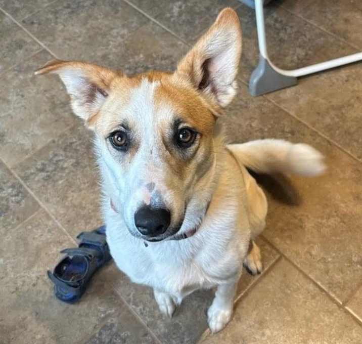Photo of Penny