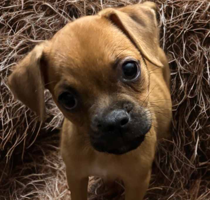 Photo of Charlie